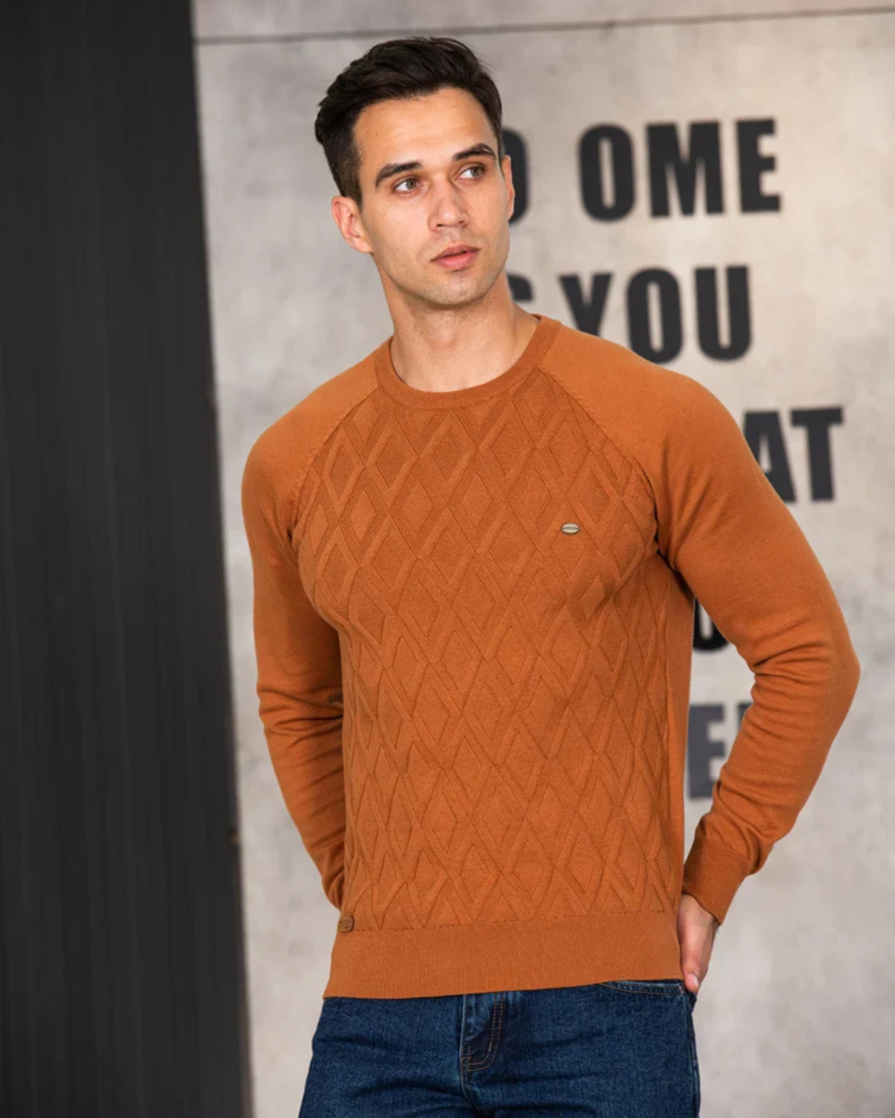 Herrenpullover mit Karomuster V2